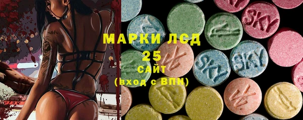 ГАЛЛЮЦИНОГЕННЫЕ ГРИБЫ Балабаново